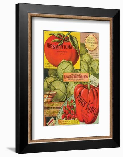 Maule Seed Book Philadelphia-null-Framed Art Print