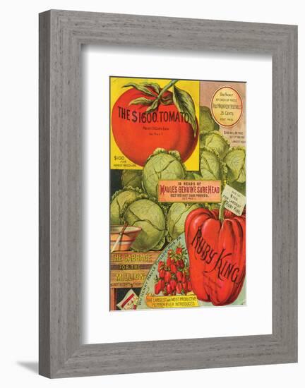 Maule Seed Book Philadelphia-null-Framed Art Print