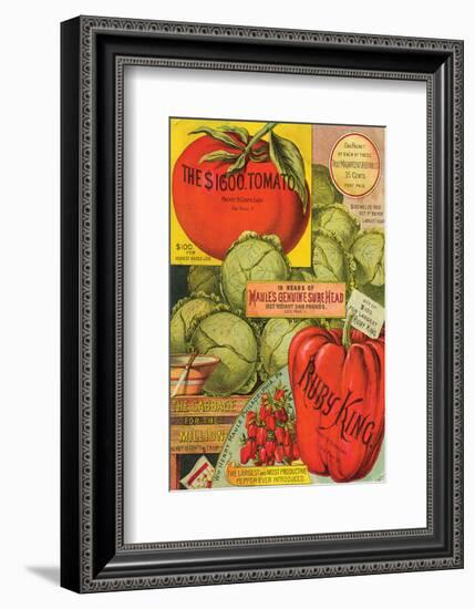 Maule Seed Book Philadelphia-null-Framed Art Print