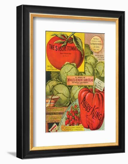 Maule Seed Book Philadelphia-null-Framed Art Print