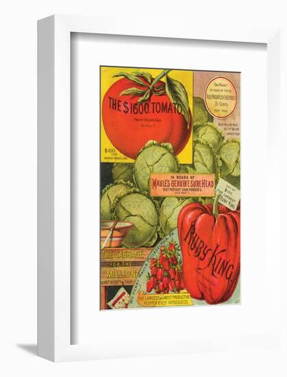 Maule Seed Book Philadelphia-null-Framed Art Print