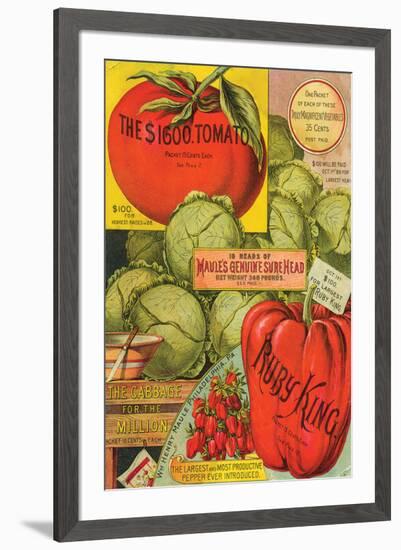 Maule Seed Book Philadelphia-null-Framed Art Print