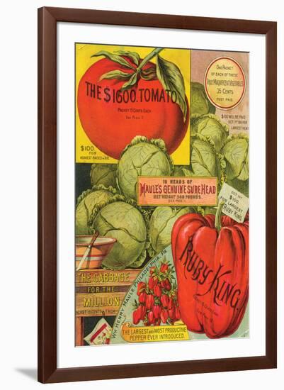 Maule Seed Book Philadelphia-null-Framed Art Print