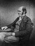 Charles Darwin (Engraving)-Maull & Fox-Framed Premier Image Canvas