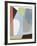 Maumbo Measure-Paul Duncan-Framed Giclee Print