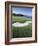 Mauna Kea Golf Course, Hawaii, USA-null-Framed Photographic Print