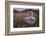 Mauna Kea Silversword-DLILLC-Framed Photographic Print