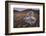 Mauna Kea Silversword-DLILLC-Framed Photographic Print