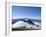 Mauna Kea-Guido Cozzi-Framed Photographic Print