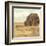 Maupin Farm II-Jarman Fagalde-Framed Art Print