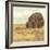 Maupin Farm II-Jarman Fagalde-Framed Art Print