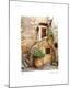 Premium Photographic Print