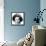 Maureen O'Sullivan, Irish Born American Actress, 1934-1935-null-Framed Premier Image Canvas displayed on a wall