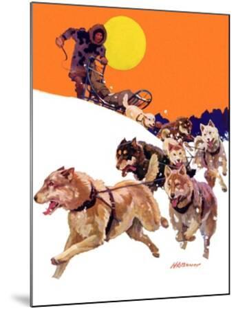 SIBERIAN HUSKY ESKIMO SLED DOG TEAM GREAT DOG PRINT MOUNTED READY TO FRAME