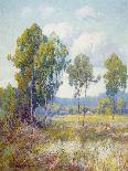 Eucalyptus and Moonrise-Maurice Braun-Framed Stretched Canvas