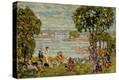 Stretched Canvas Print