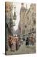 Stretched Canvas Print
