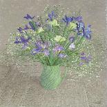 Still Life with White Phlox, Blue Agapanthus and Scabious-Maurice Sheppard-Framed Giclee Print