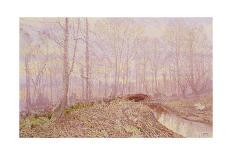 A Time Line of Trees, 2008-Maurice Sheppard-Giclee Print