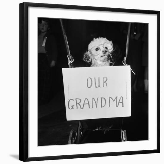 Photographic Print, , large