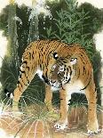 Bali Tiger-Maurice Wilson-Giclee Print