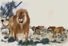 Barbary Lions-Maurice Wilson-Giclee Print