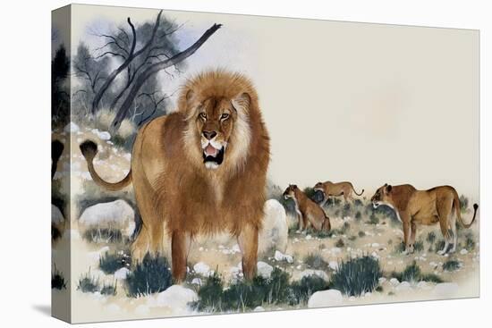 Stretched Canvas Print, , large