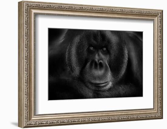 Maurice-Kay-Framed Photographic Print