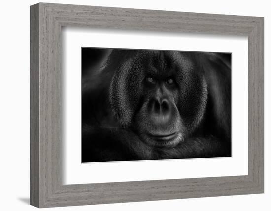 Maurice-Kay-Framed Photographic Print