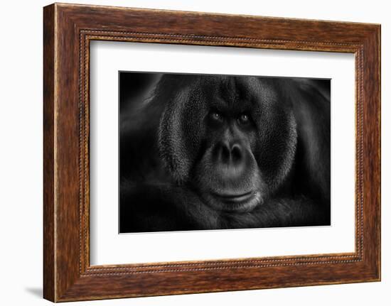 Maurice-Kay-Framed Photographic Print