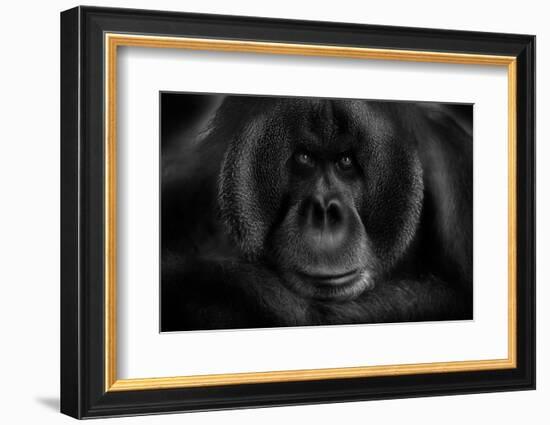 Maurice-Kay-Framed Photographic Print