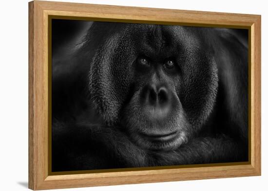 Maurice-Kay-Framed Premier Image Canvas