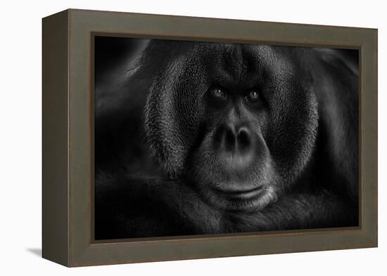 Maurice-Kay-Framed Premier Image Canvas