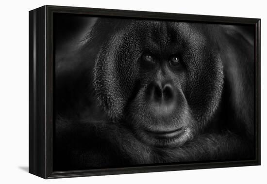 Maurice-Kay-Framed Premier Image Canvas