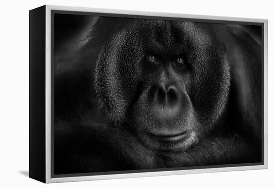 Maurice-Kay-Framed Premier Image Canvas