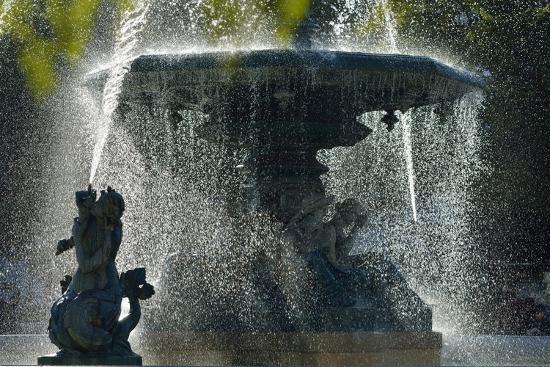 Photographic Print, , large