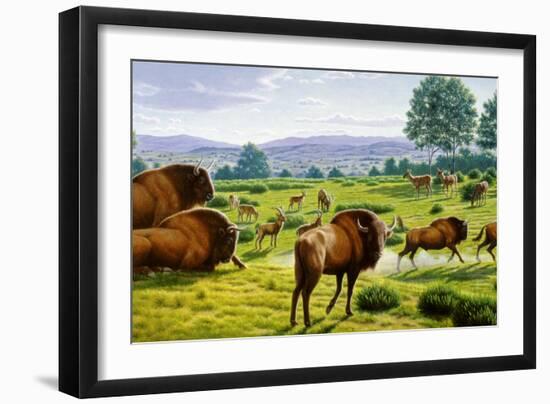 Photographic Print, , large