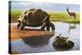 Stretched Canvas Print