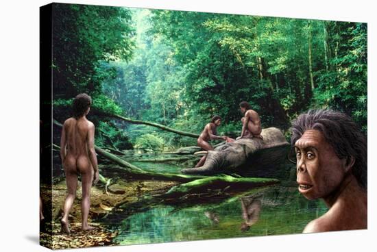 Stretched Canvas Print, , large