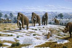 Mammals of the Pleistocene Era-Mauricio Anton-Photographic Print