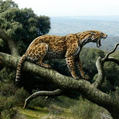 Promegantereon Sabre-tooth Cat, Artwork' Photographic Print