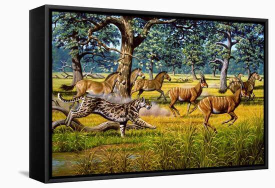 Stretched Canvas Print, , large