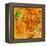 Mauritania on Actual Map of Africa-michal812-Framed Stretched Canvas