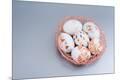 Premium Photographic Print