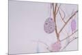 Premium Photographic Print