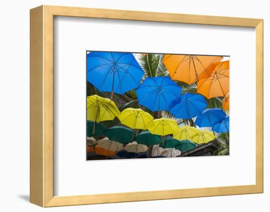 Mauritius, Port Louis, Caudan Waterfront Area with Umbrella Covering-Cindy Miller Hopkins-Framed Photographic Print