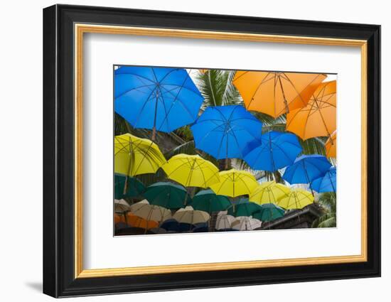 Mauritius, Port Louis, Caudan Waterfront Area with Umbrella Covering-Cindy Miller Hopkins-Framed Photographic Print