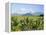 Mauritius, Scenic in the North West Region of the Island-Fraser Hall-Framed Premier Image Canvas