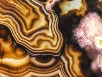 Pink Brown Turritella Agate Pattern-maury75-Framed Photographic Print