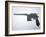 Mauser 7.53 Semi-Automatic Pistol (Metal)-German-Framed Giclee Print